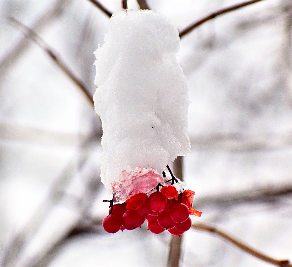 Photograph by Александр Шувалов