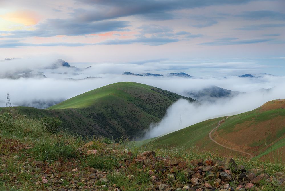 Photograph by Saeed Piran