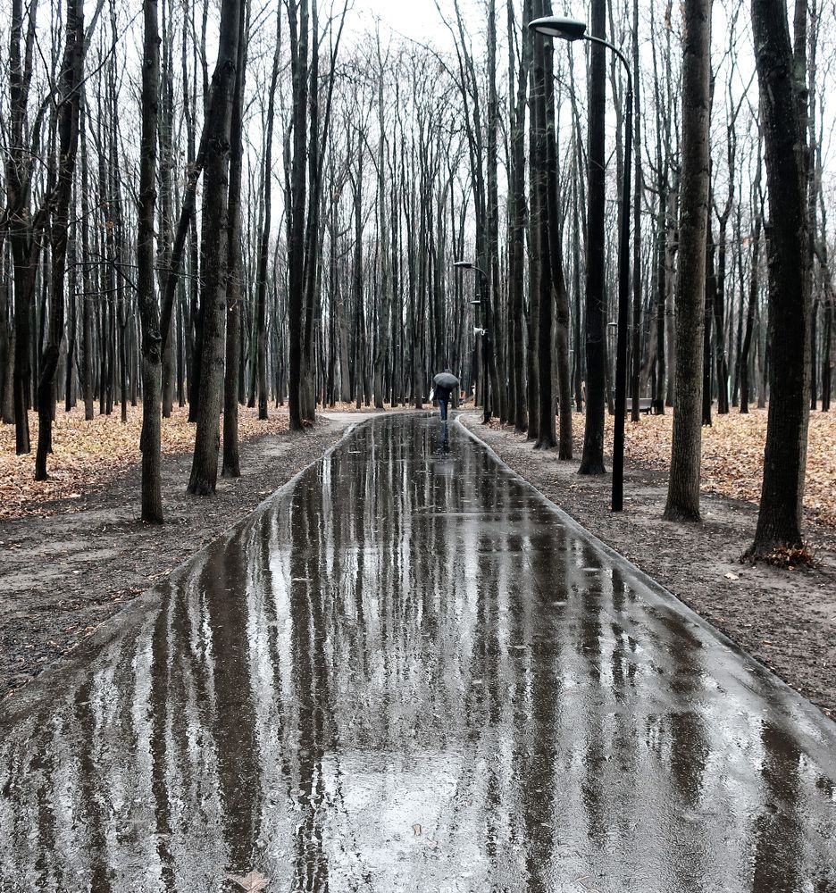 Photograph by Ольга Стоун