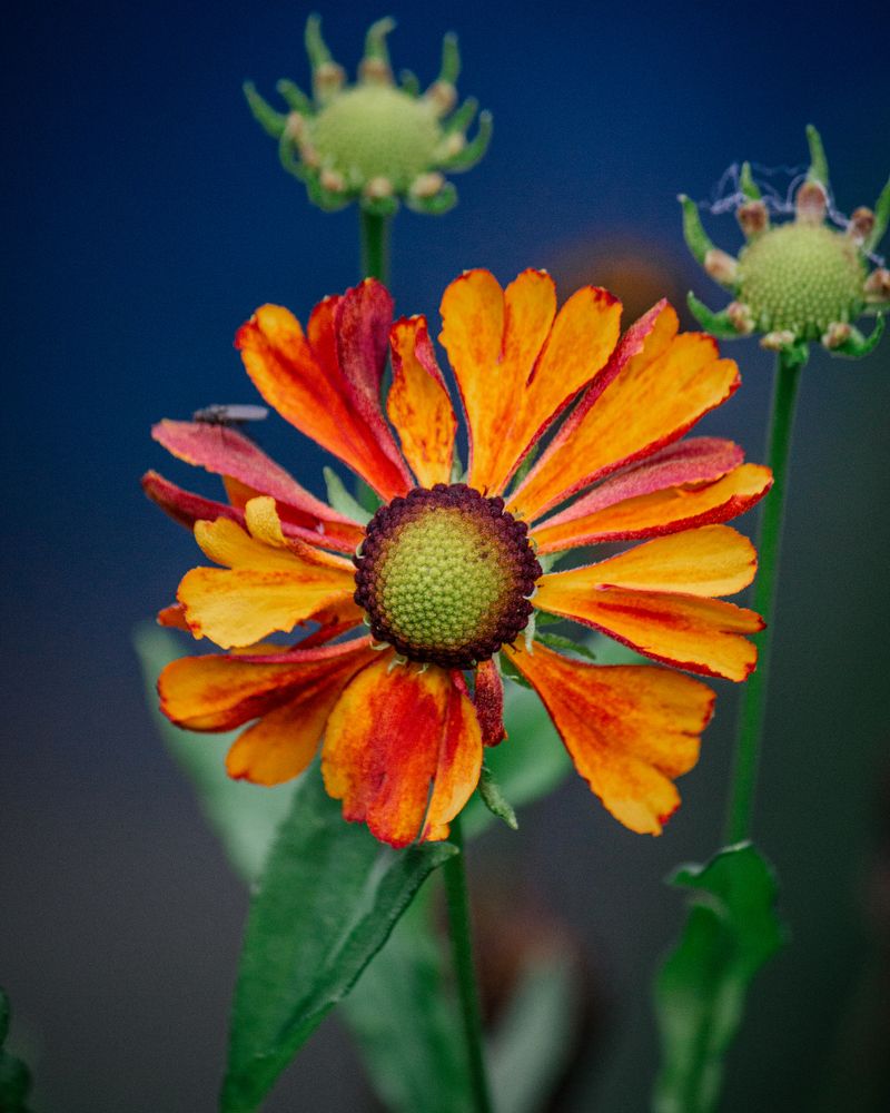 Photograph by Mikhail