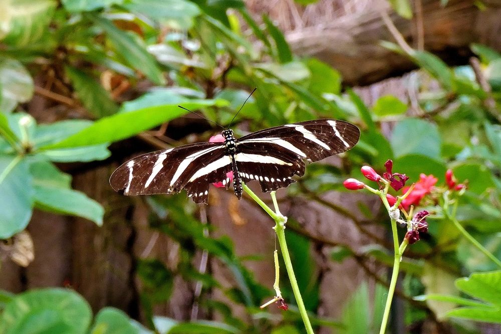 Photograph by backareva irina