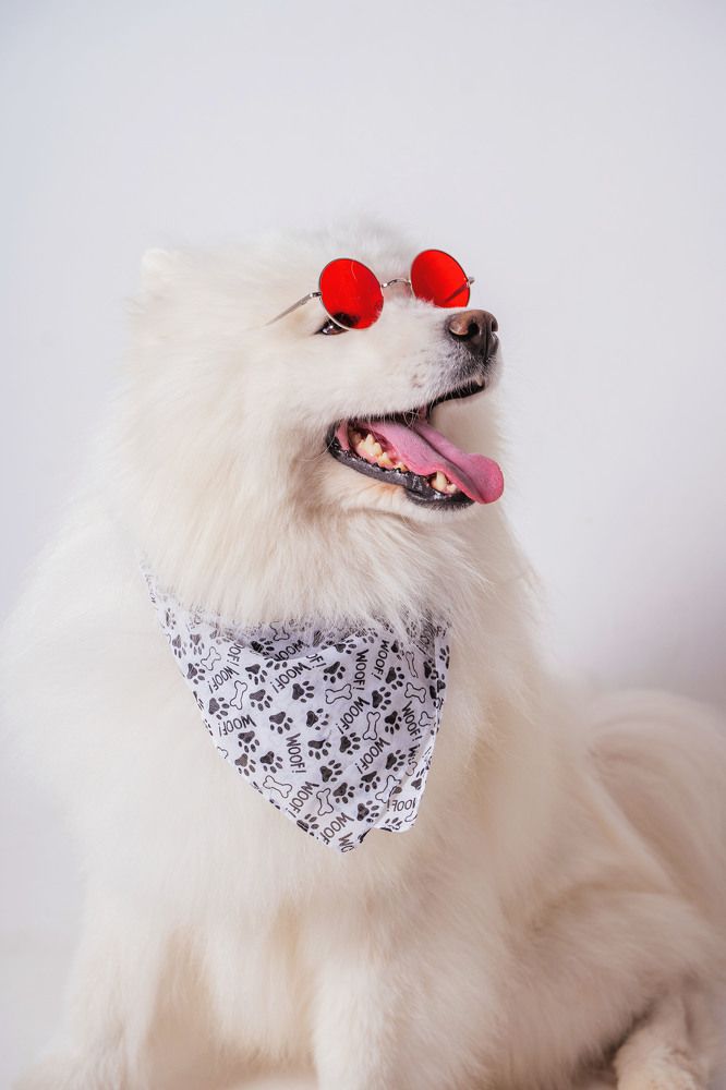 Фотография автора Юлия Бец