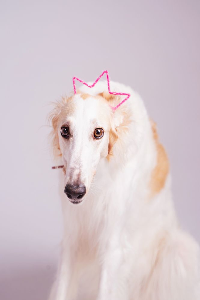 Фотография автора Юлия Бец