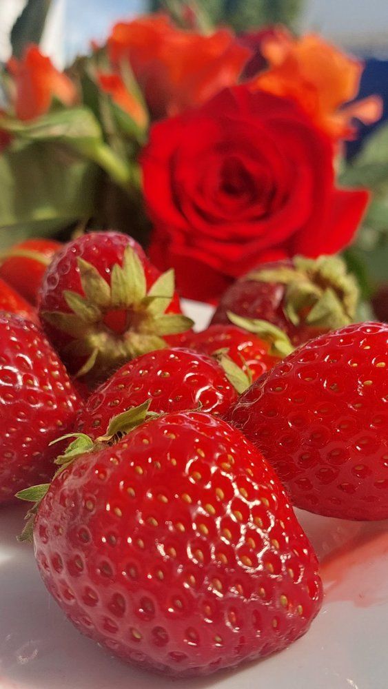 Photograph by Svitlana Usatenko