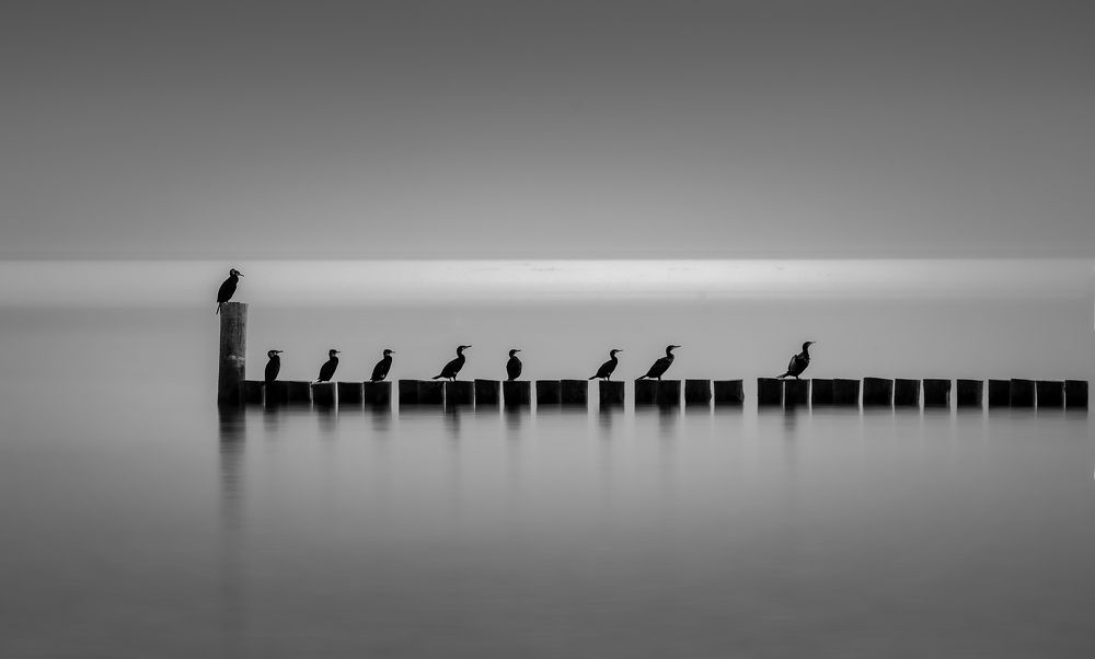 Photograph by Gabriel Jakab