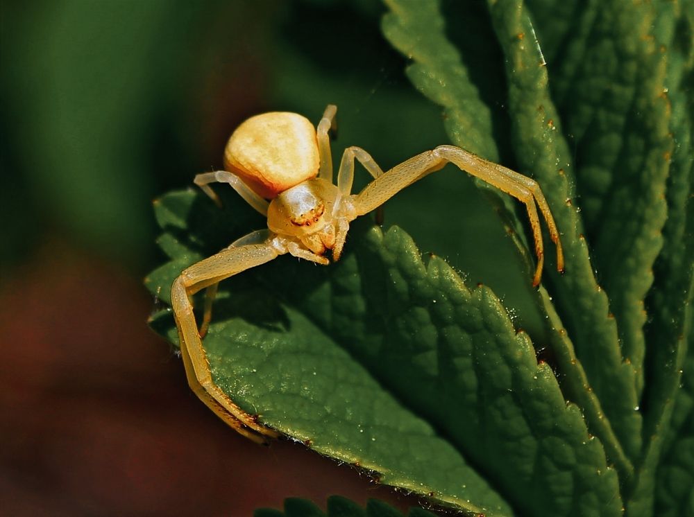 Photograph by Юлия Иванова