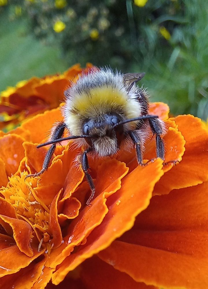 Photograph by Евгений Савулькин