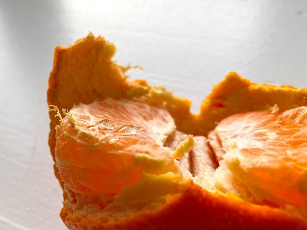 Photograph by Uladzimir Hvozd