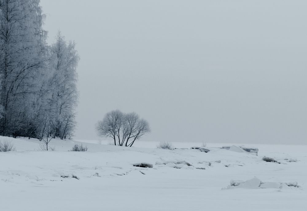 Photograph by Alexey S