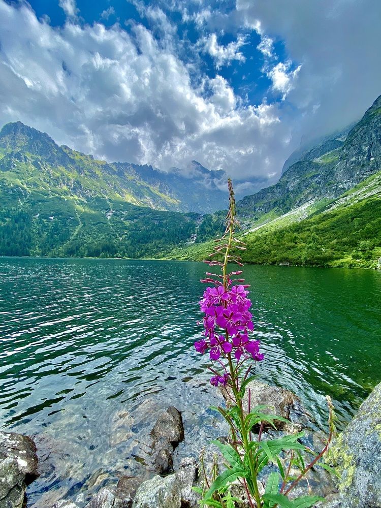 Photograph by Ольга Левенец