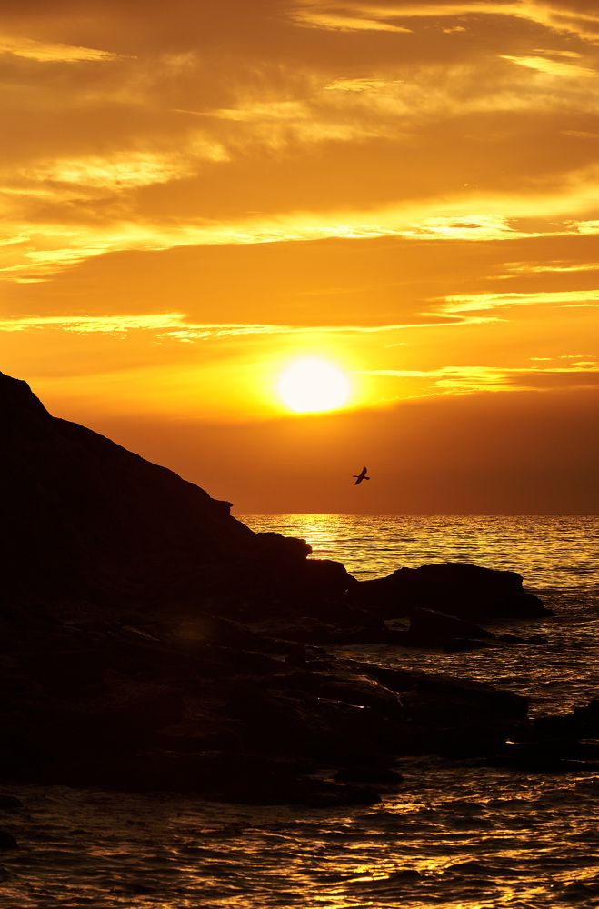 Photograph by Артем Колосов