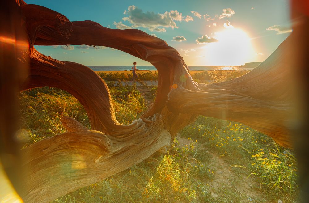 Photograph by Павел Ермилов