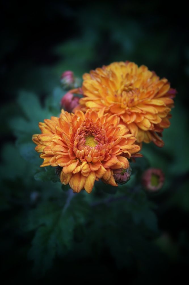 Photograph by Татьяна Сычева