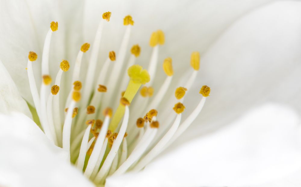 Photograph by Luca Menotti