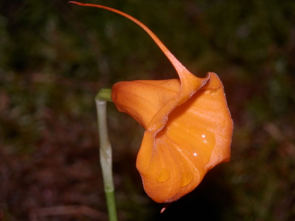 Photograph by Георгий Салюков