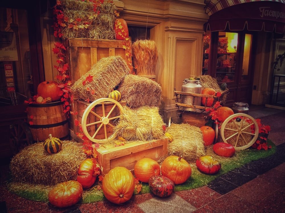 Photograph by Владимир Ковжаров