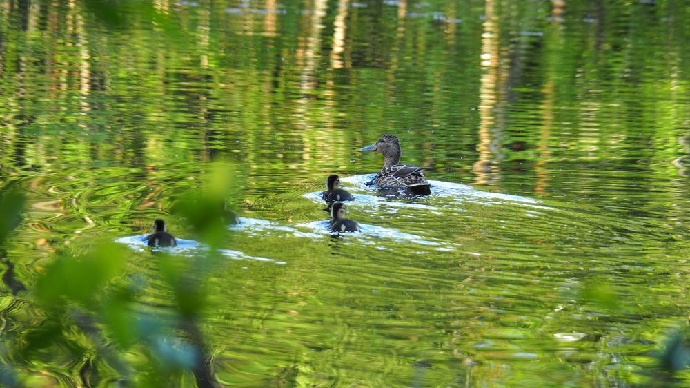 Photograph by Георгий Салюков