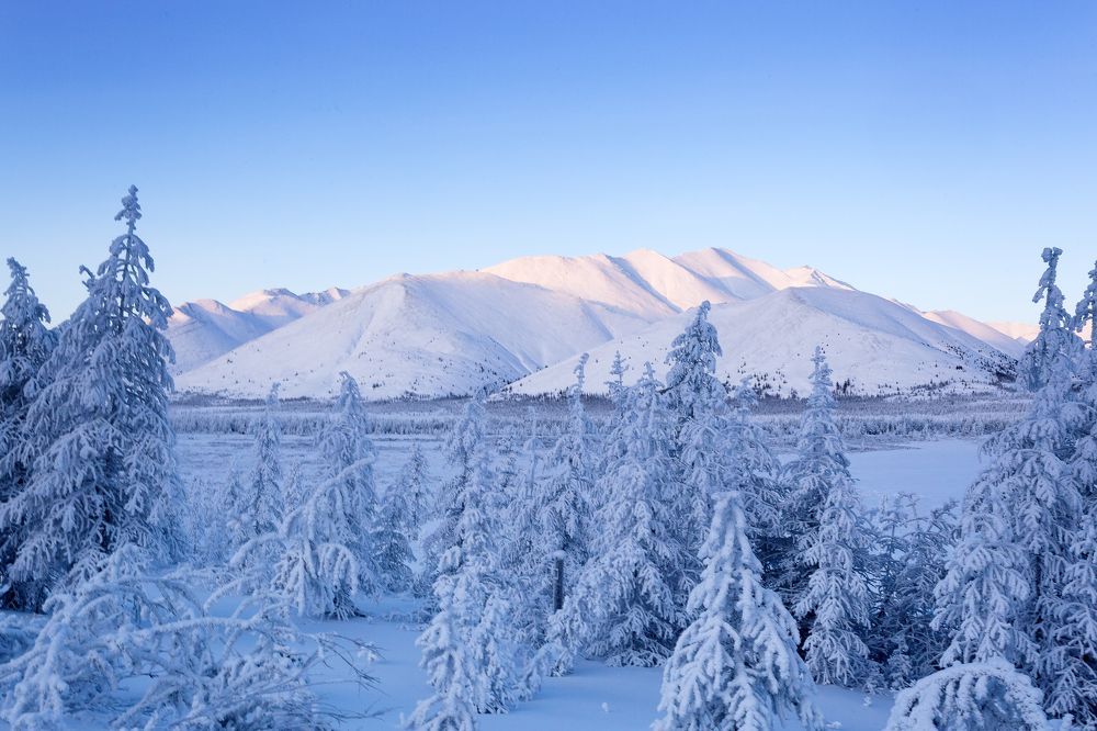 Декабрь месяц.