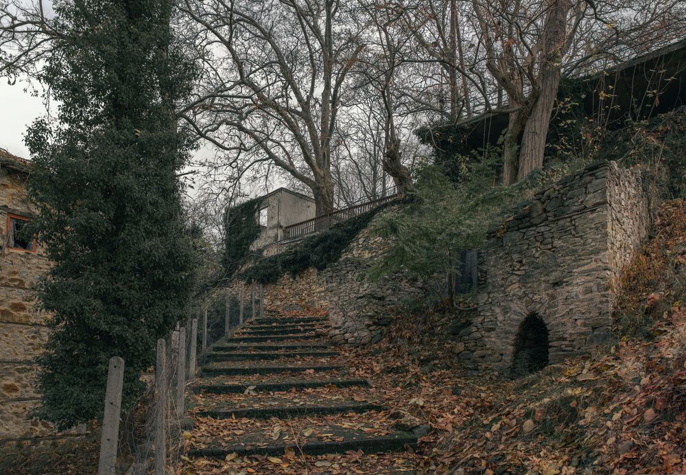 Photograph by Taтьяна Войлокова