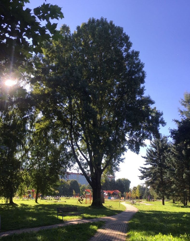 Photograph by Маргарита