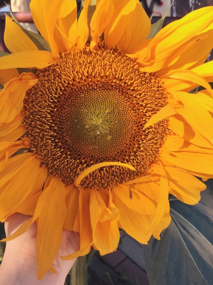 Photograph by Маргарита