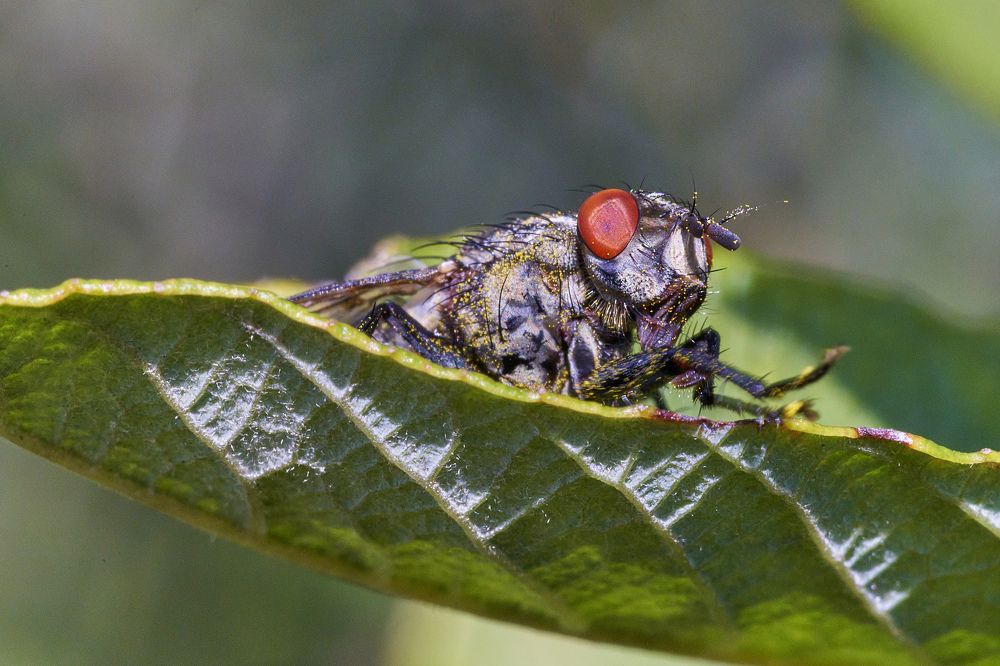 Photograph by Игорь Зиновьев