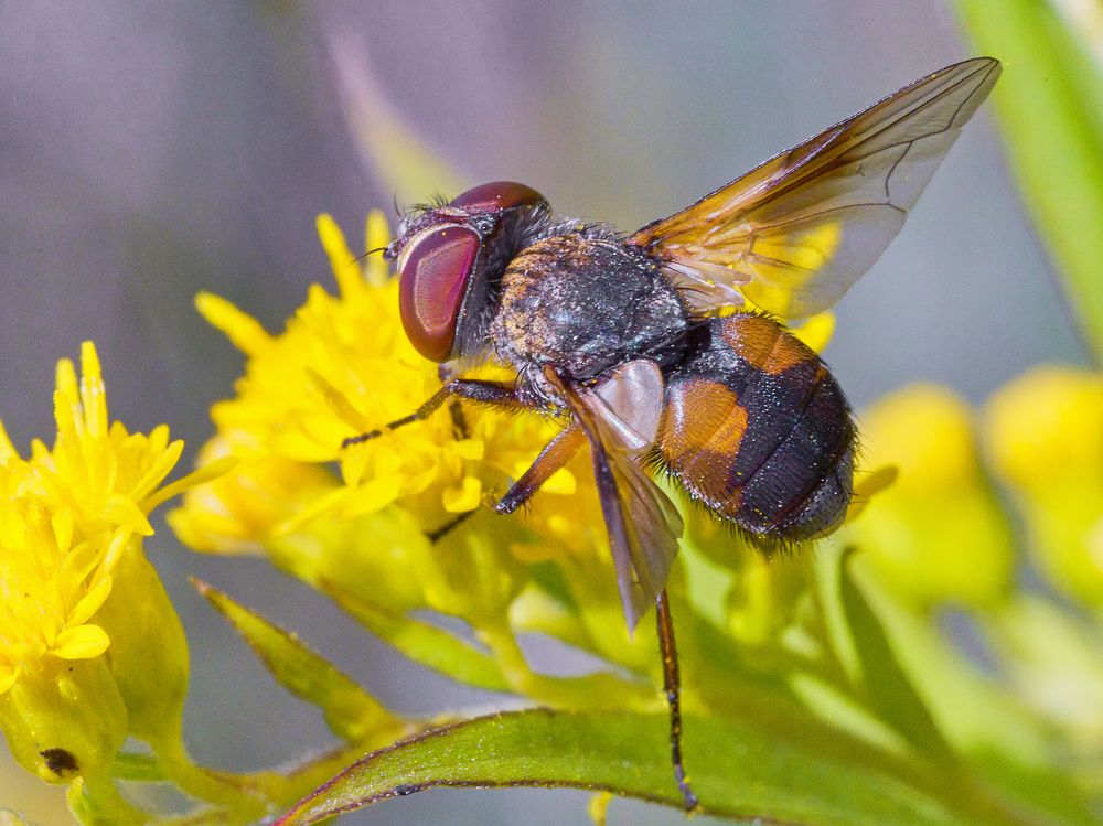 Photograph by Игорь Зиновьев