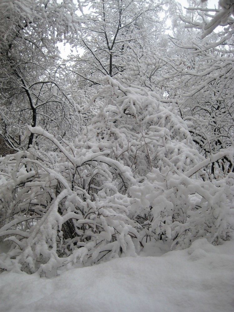 Photo #9482950
