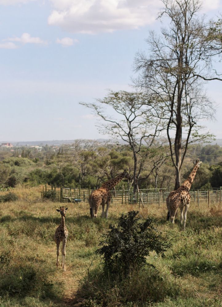 Photograph by Людмила Евстратова