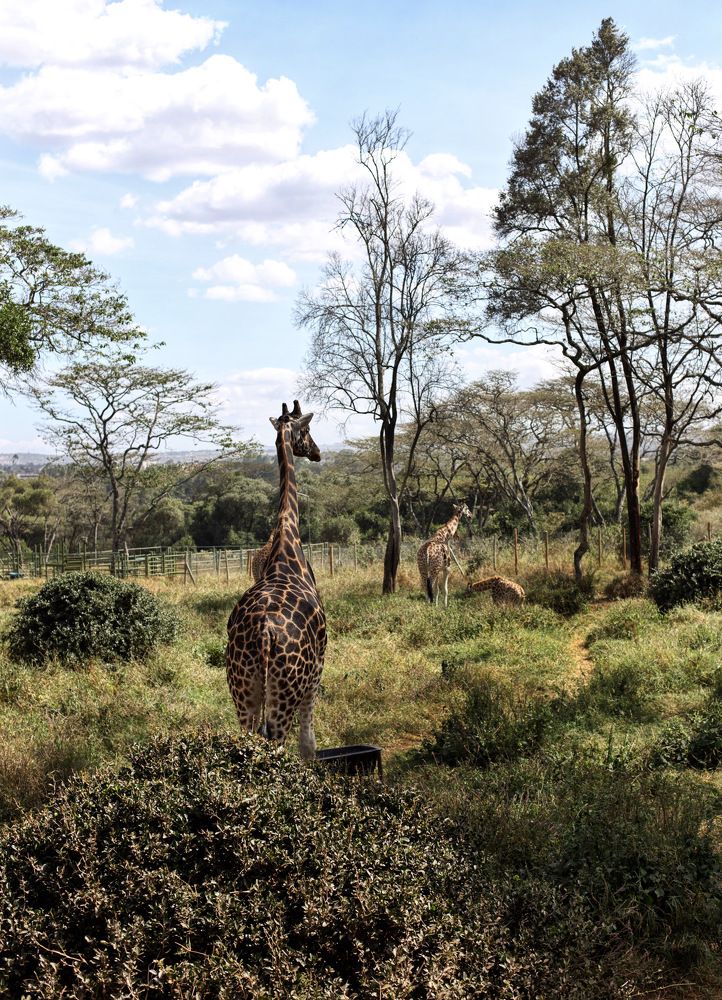 Photograph by Людмила Евстратова