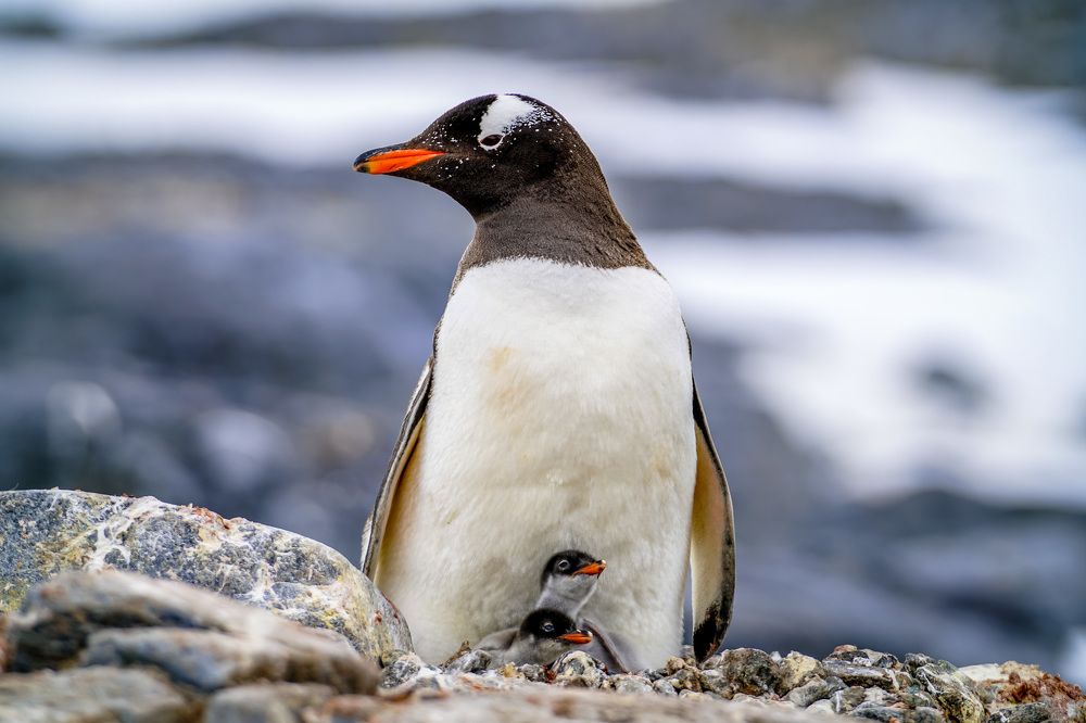 Photograph by Илья Труханов