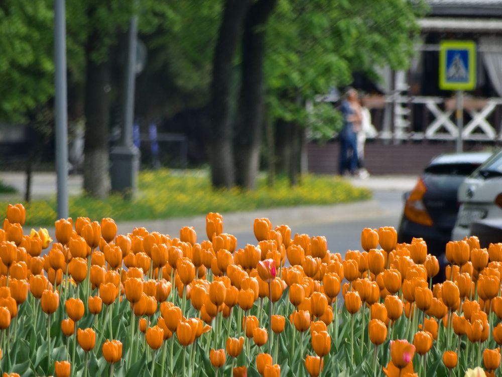 Photograph by Артём Таначёв