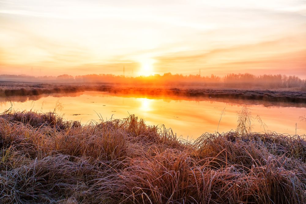 Осеннее утро.