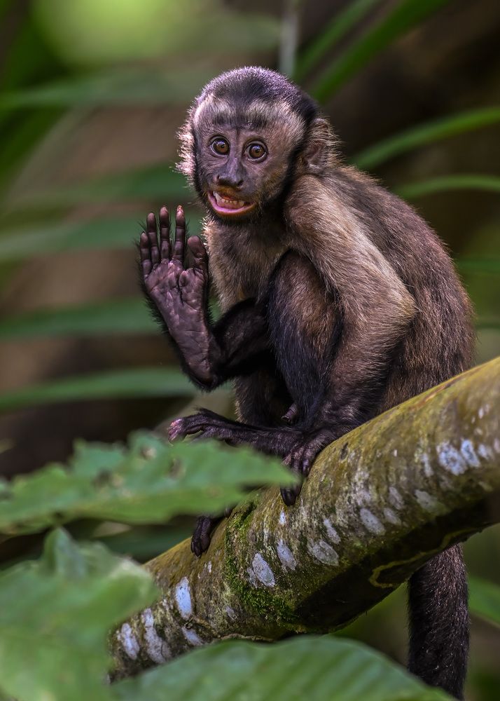 Photograph by Rose-Anne Reyes