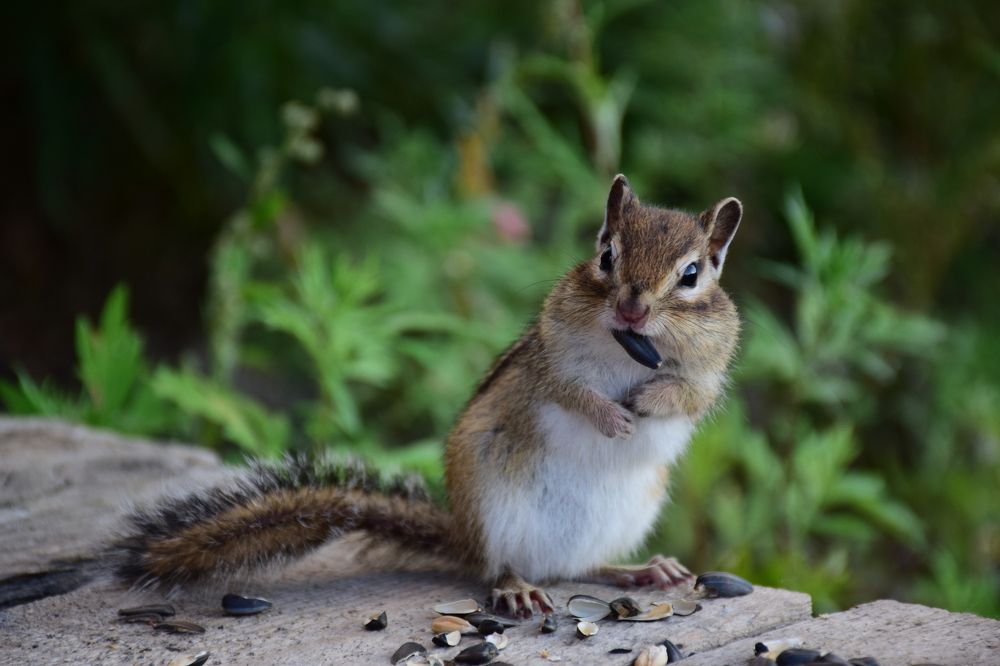 Photograph by Рамиль