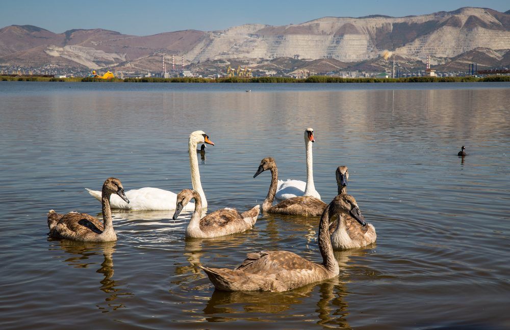 Фотография автора Ирина Гриценко