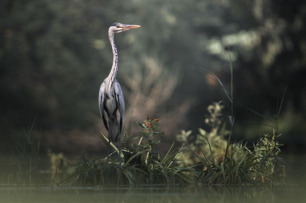 Photograph by Поляков Михаил