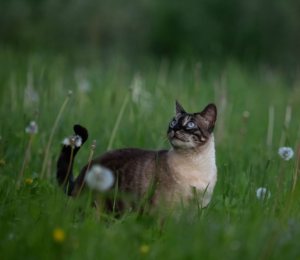 Photograph by Елена Хорохорина