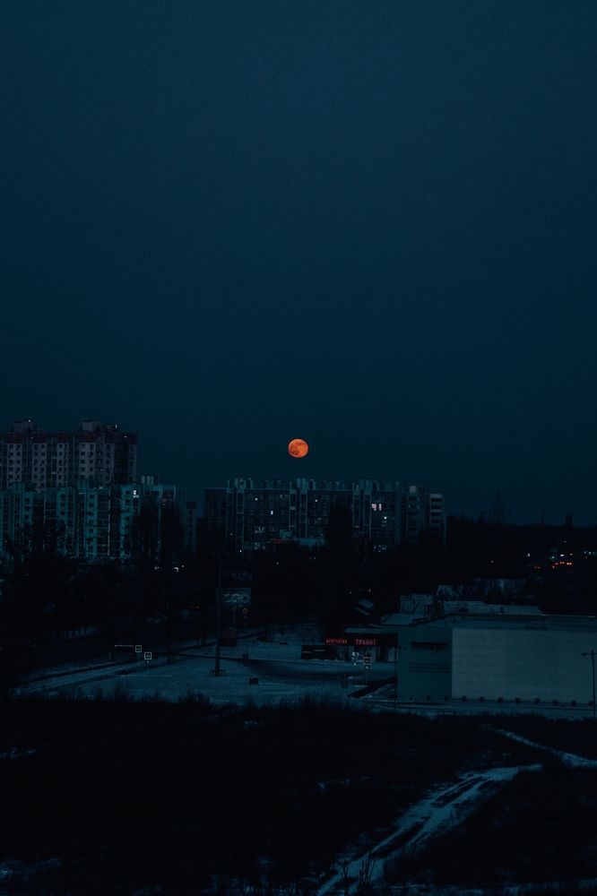 Фотография автора Юлия Гантимурова