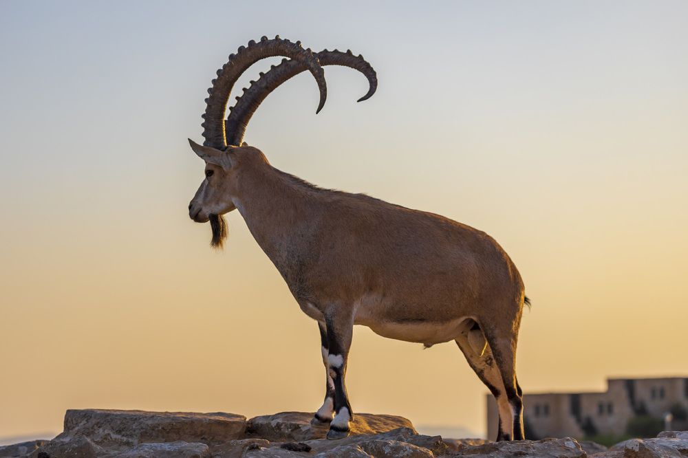 Фотография автора Nikolay Tatarchuk