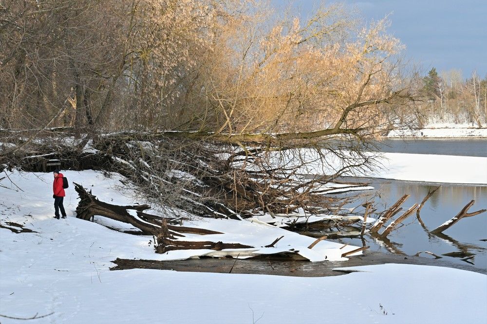 Фотография автора IRINA FILIPPOVA