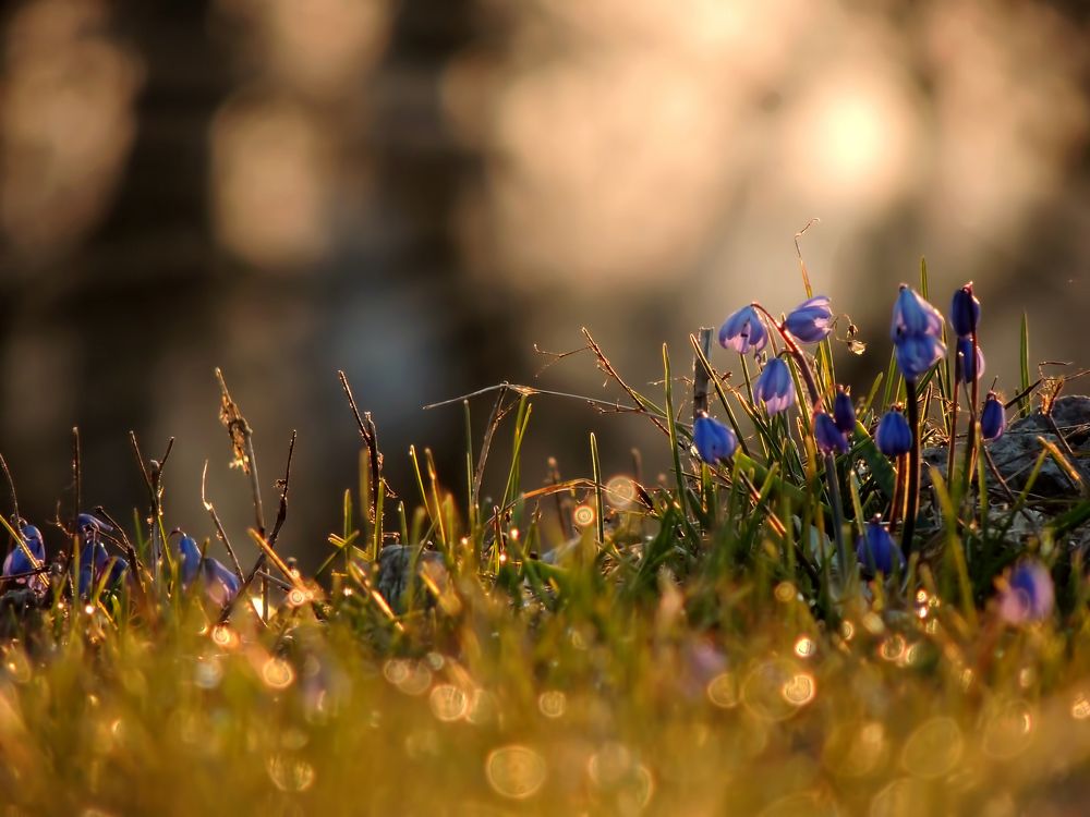 Фотография автора Роман Савоцкий