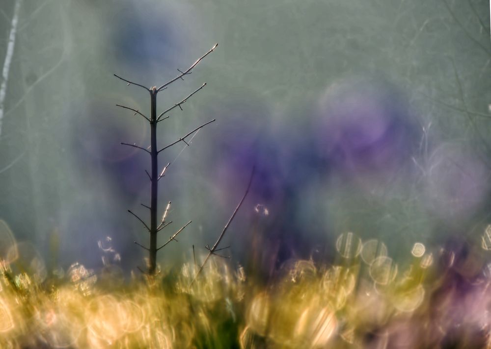 Photograph by Савоцкий Роман