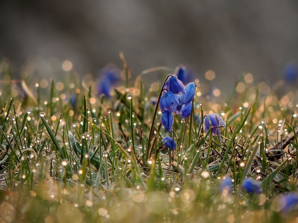 Photograph by Савоцкий Роман