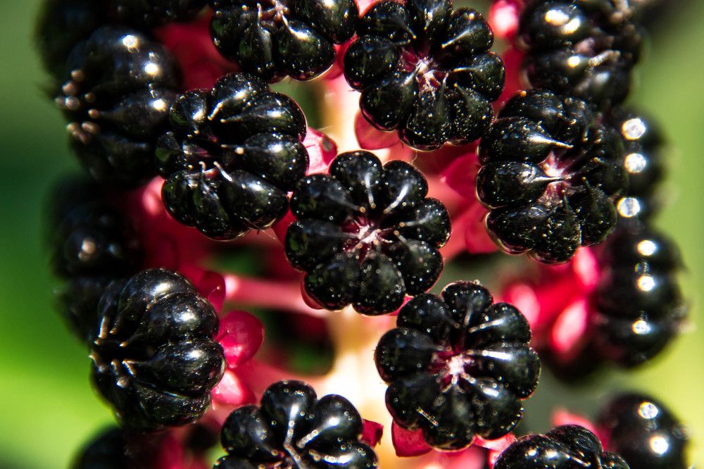 Фотография автора Юлия Кранина