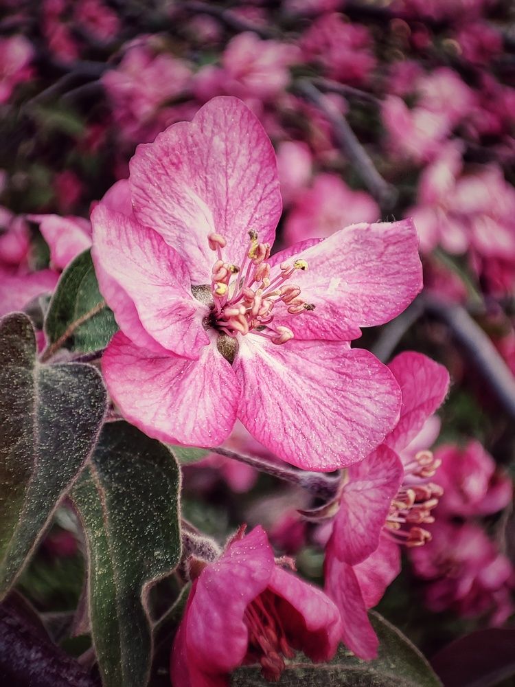 Photograph by Олеся Хижко