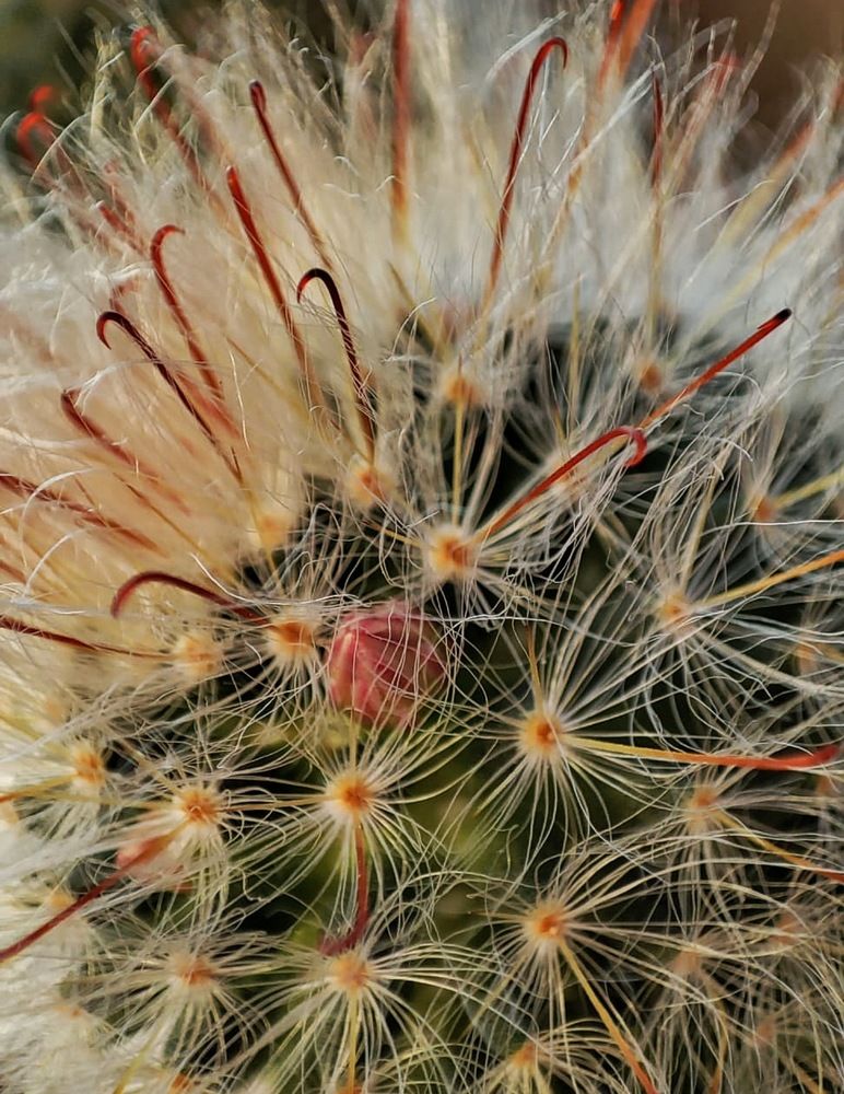 Photograph by Олеся Хижко