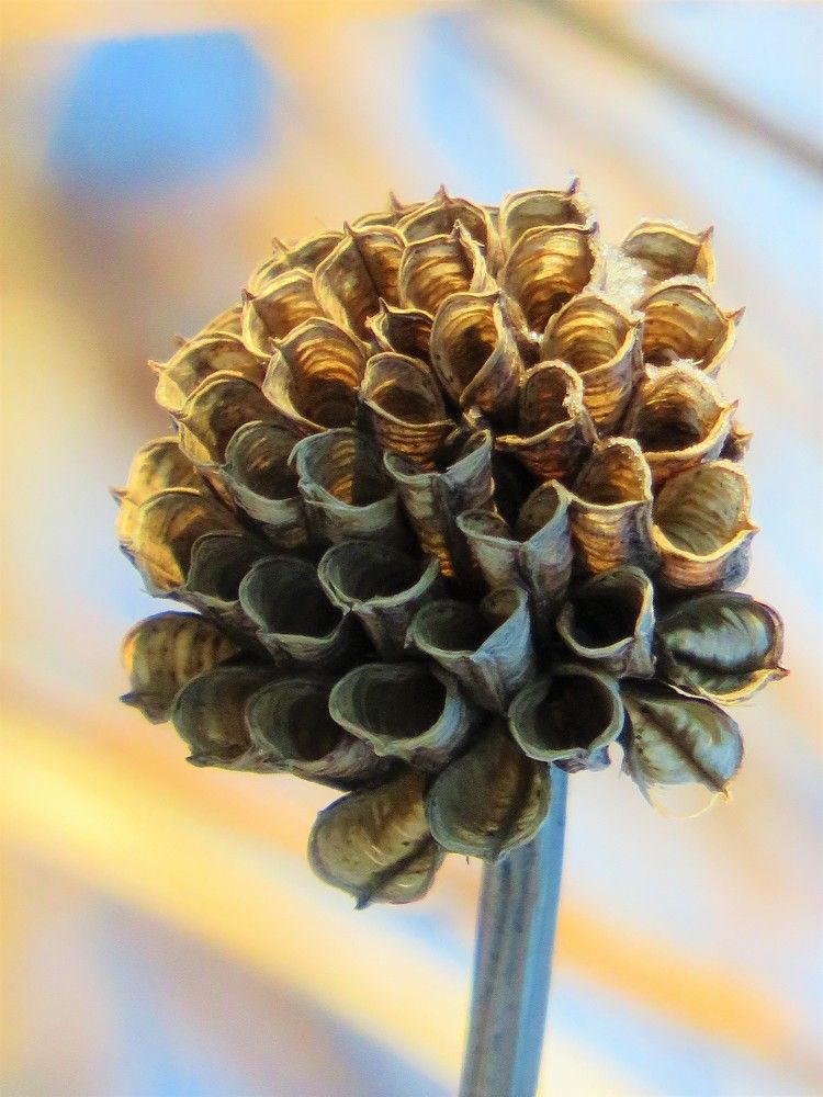 Photograph by Людмила Кононова