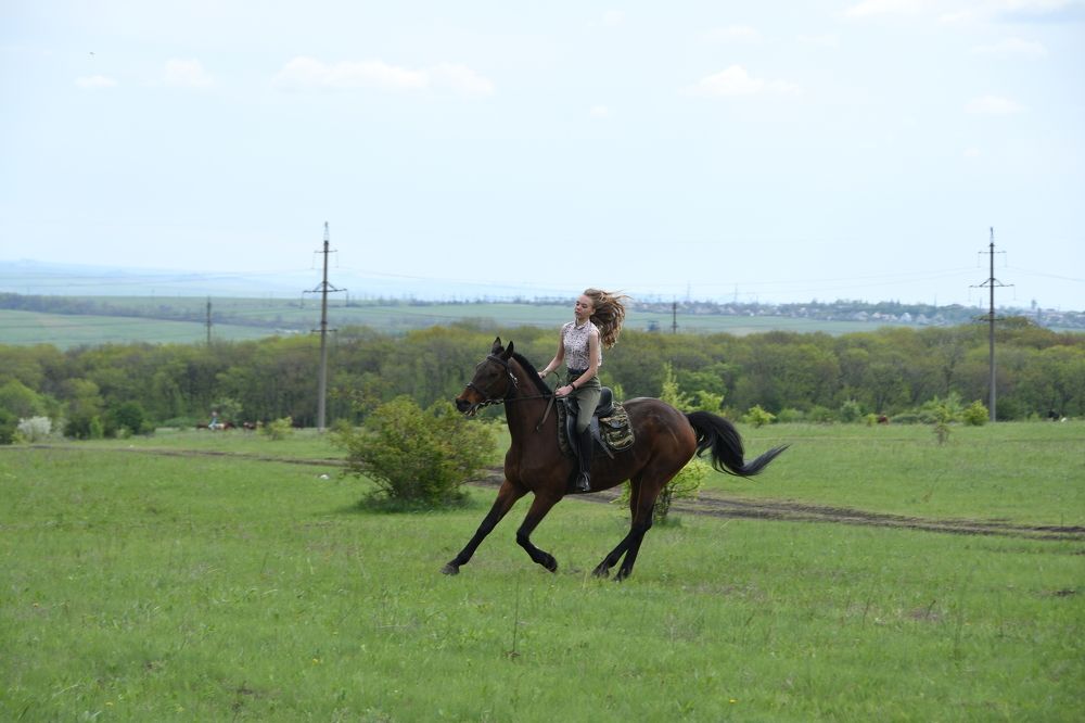 Photograph by Леонид Соснин