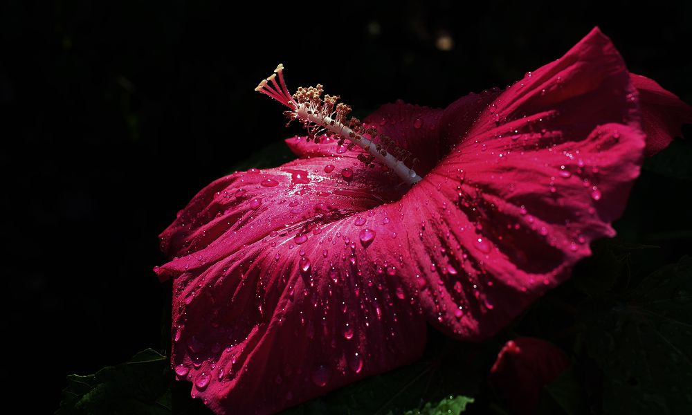 Фотография автора Сергей Гречихин